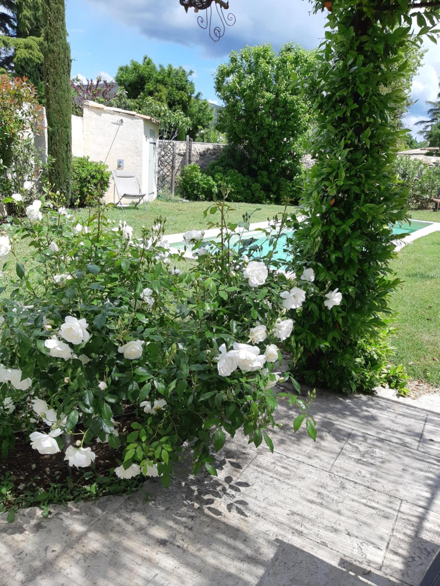 Le Chat Sur Le Toit Lourmarin Exterior photo