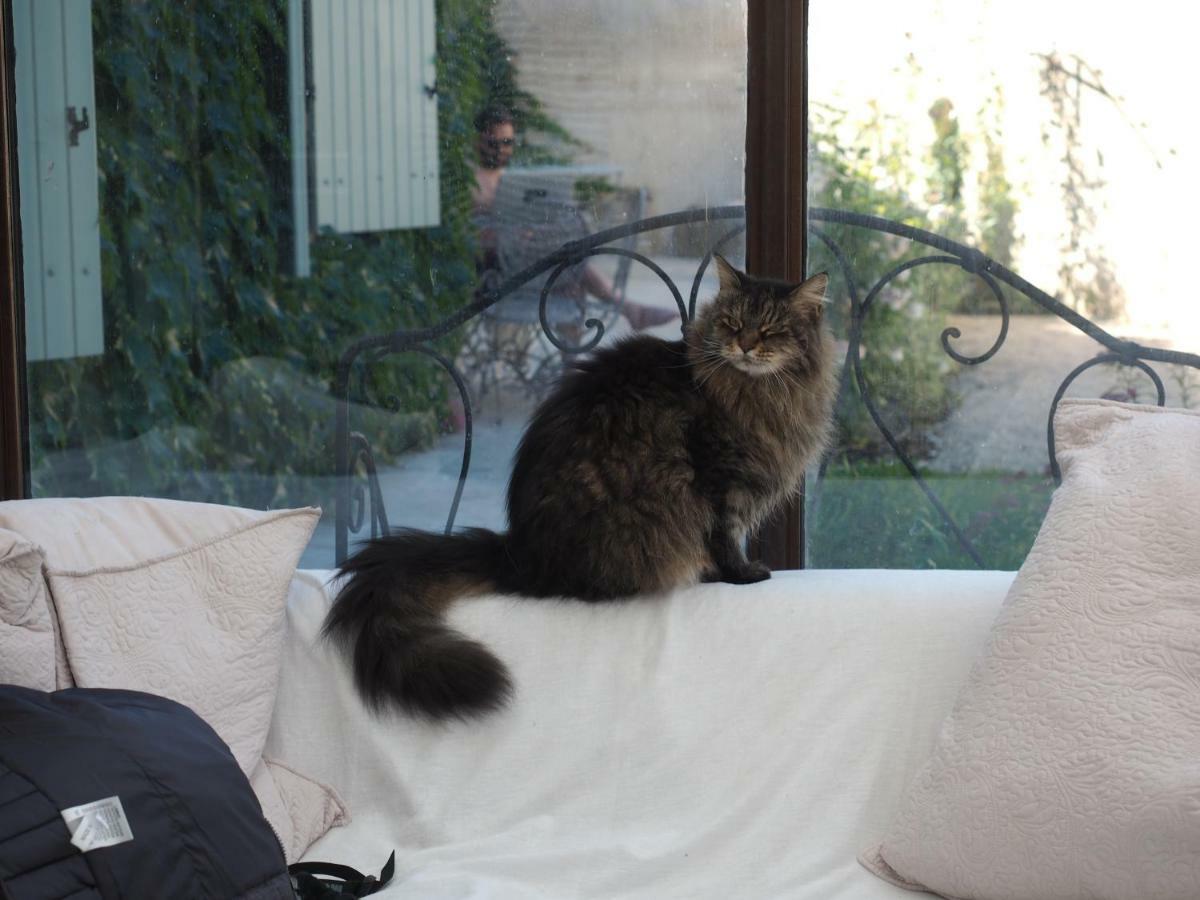 Le Chat Sur Le Toit Lourmarin Exterior photo